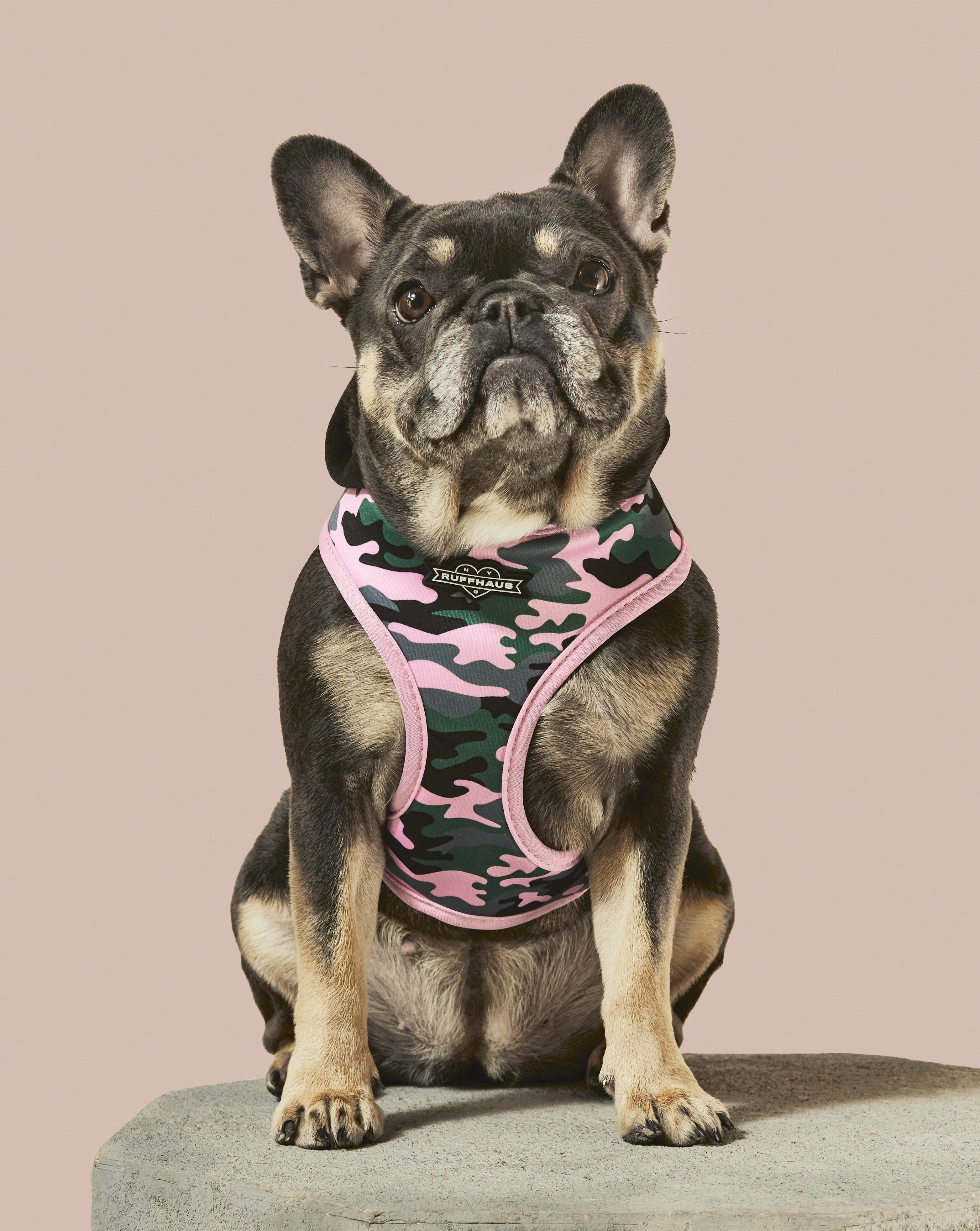 Camo QT Pink Hoodie Harness