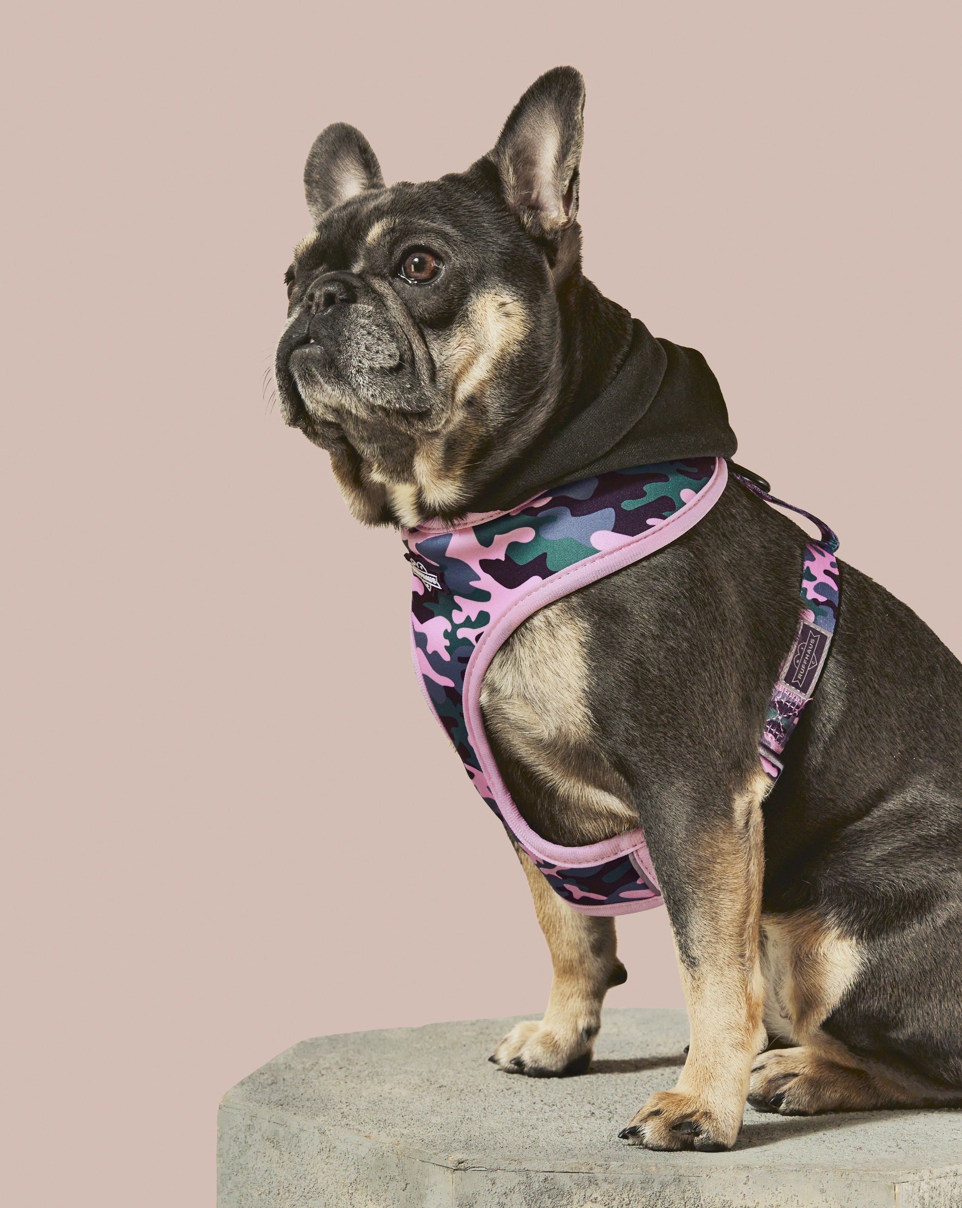 Camo QT Pink Hoodie Harness